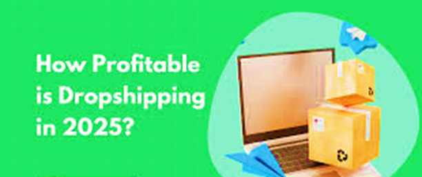 Start a Profitable Dropshipping Business in 2025