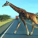 Top Travel Destination for 2025