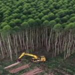 Major Natural Resources in Africa