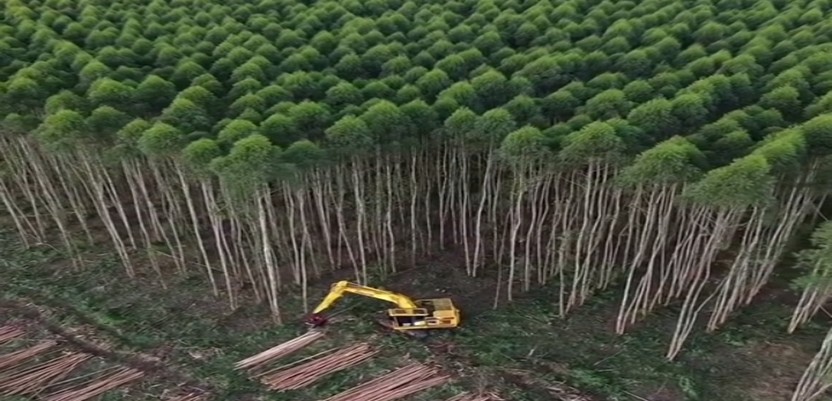 Major Natural Resources in Africa