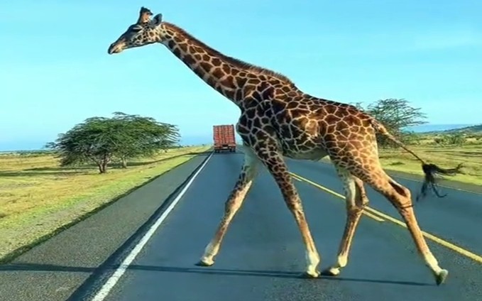 African Safari Destinations