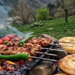 Traditional Medicine in Modern Healthcare