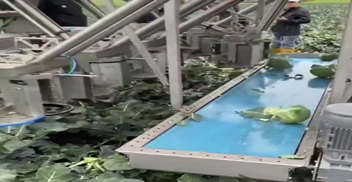 Agro-Technology in Africa