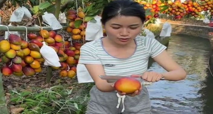 Africa Food Production Trends