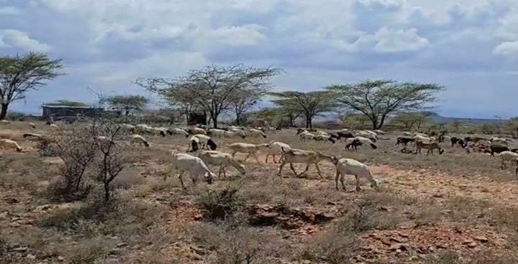 Major Natural Resources in Africa