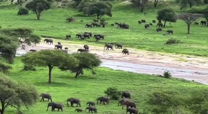 African Safari Destinations