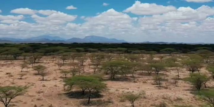 Hwange National Park, Zimbabwe